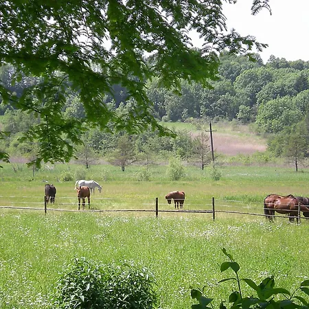 Appartement Marktl *